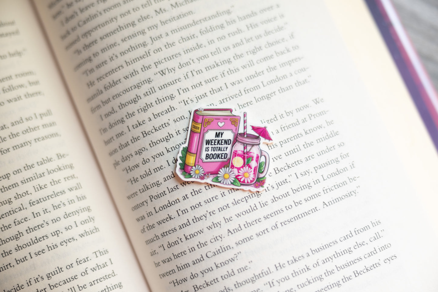 Bookish Magnets