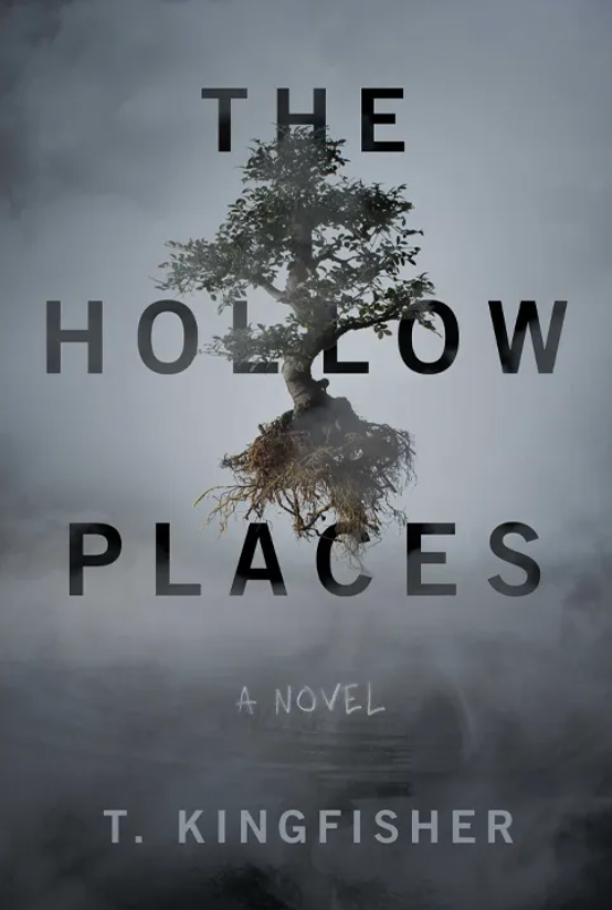 The Hollow Places